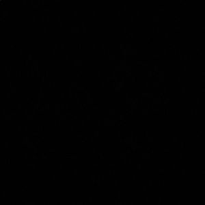 Meet your Posher, Abbi